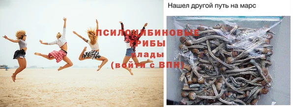 прущая мука Горняк
