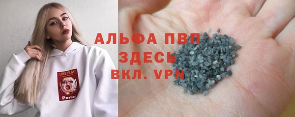 прущие грибы Сатка