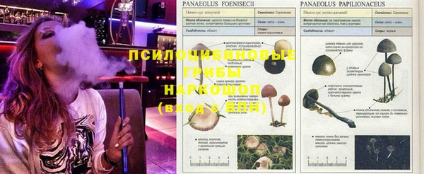кокаин колумбия Алексин