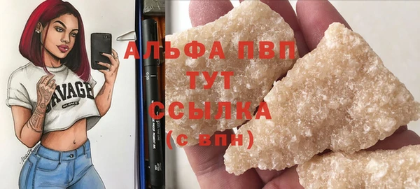 прущие грибы Сатка