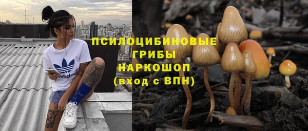 прущие грибы Сатка
