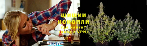 МДПВ Саяногорск