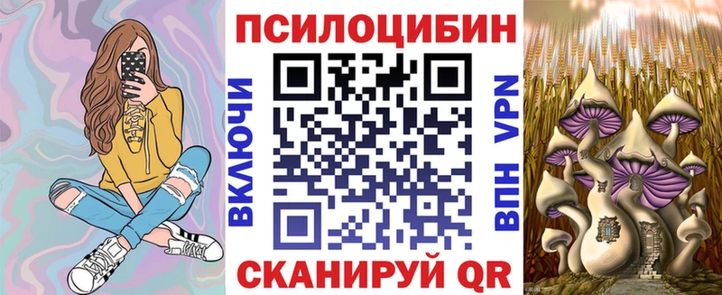 Галлюциногенные грибы Psilocybe  купить   Княгинино 