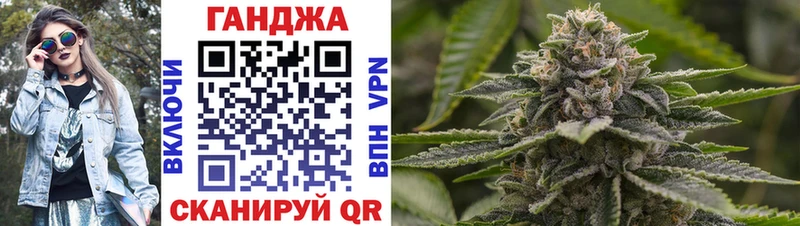 закладка Княгинино Канабис план
